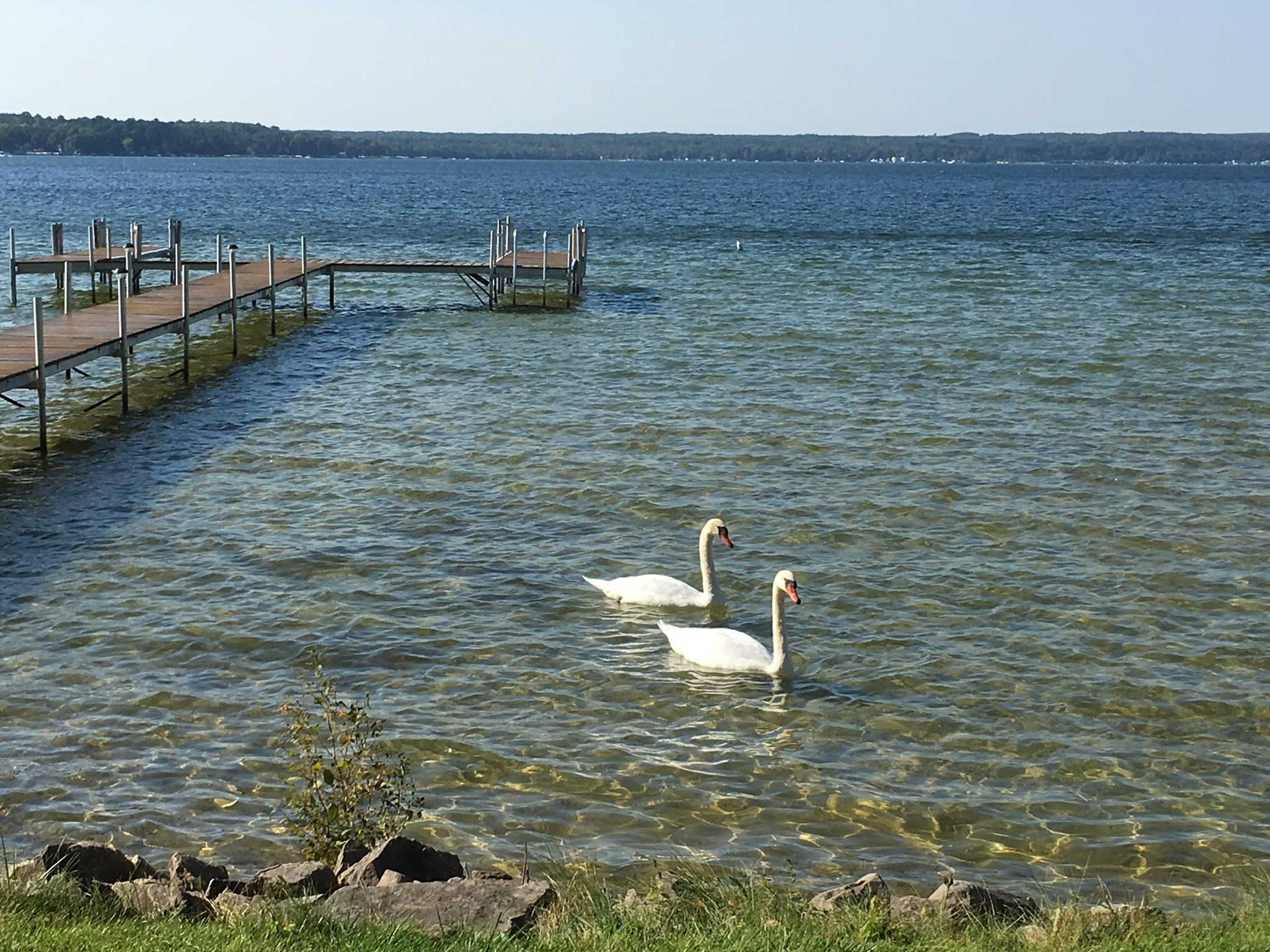Sunbathing on the lawn